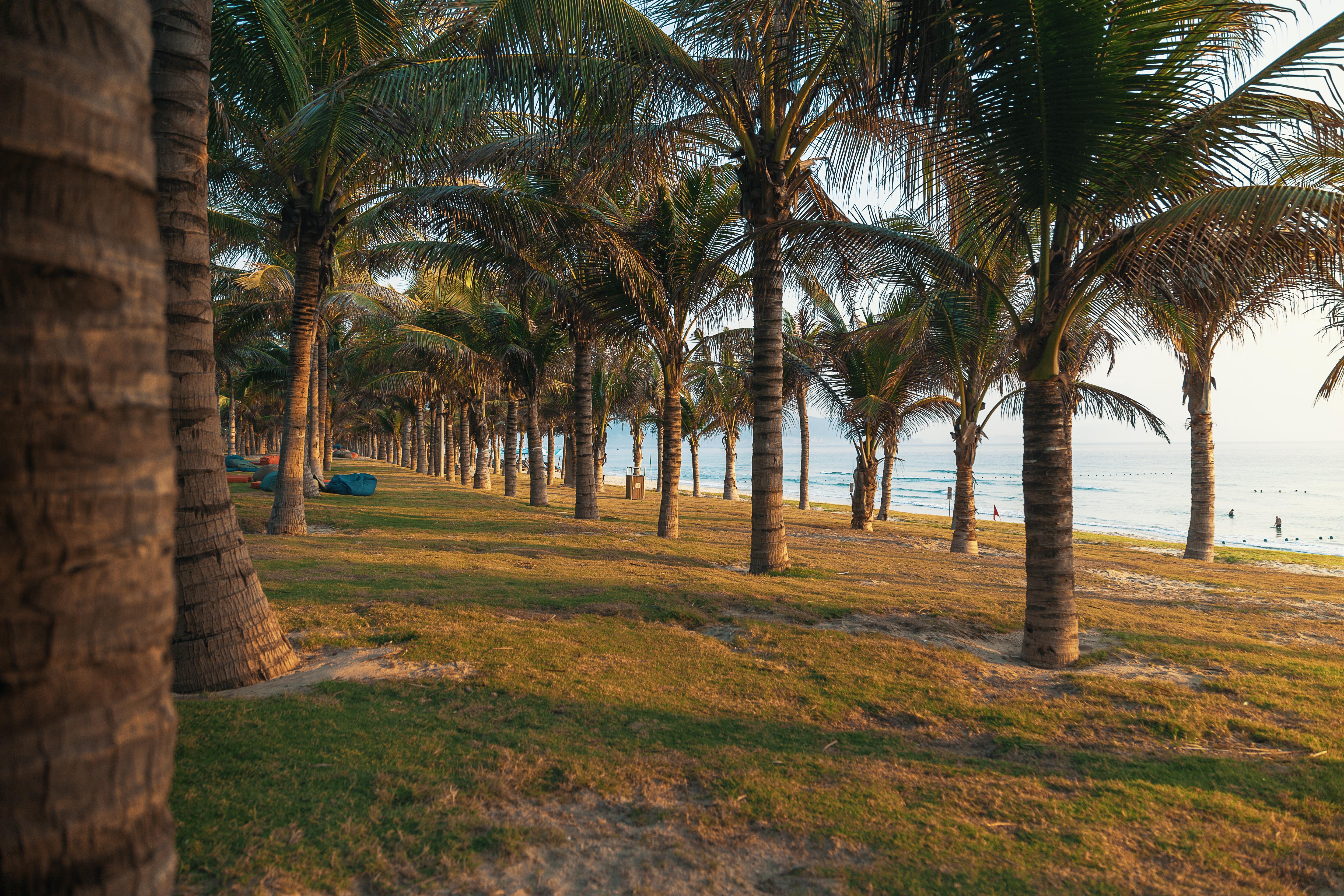 Duyen Ha Resort Cam Ranh Exterior foto